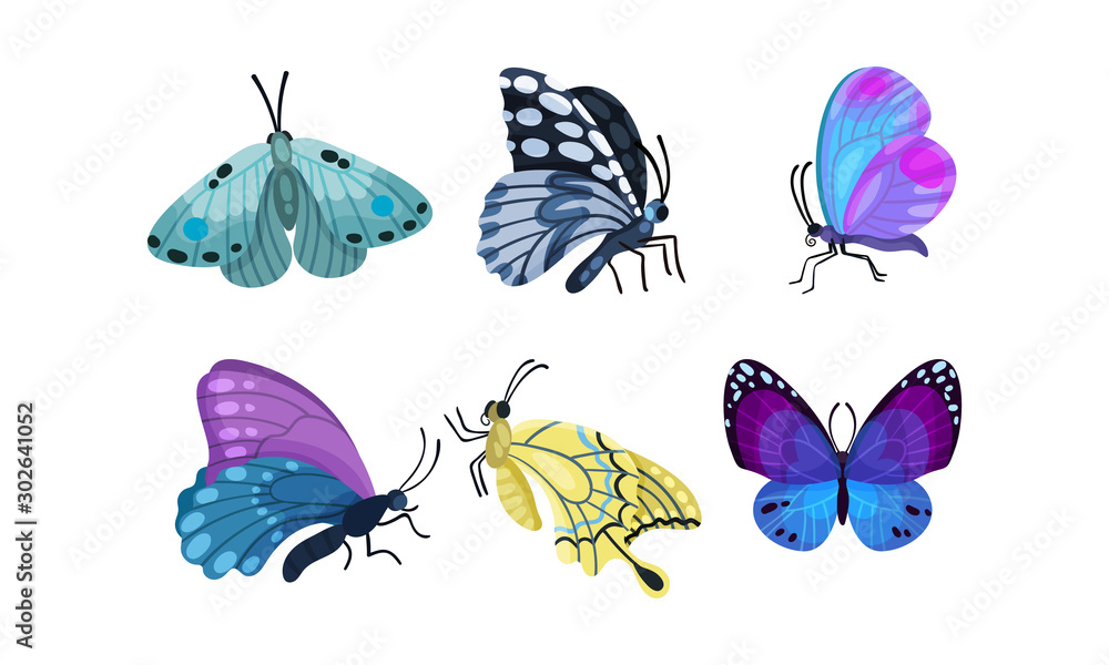 Fototapeta premium Set Of Bright Beautiful Colorful Butterflies Vector Illustration