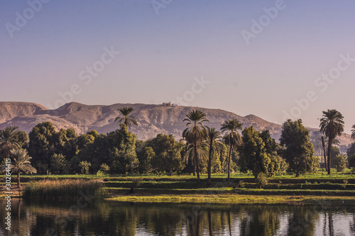 Landscapes along nile river between luxor and aswan in egypt. beautiful nature