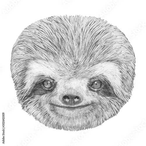 Portrait of Sloth. Hand-drawn illustration. Vector isolated elements.	