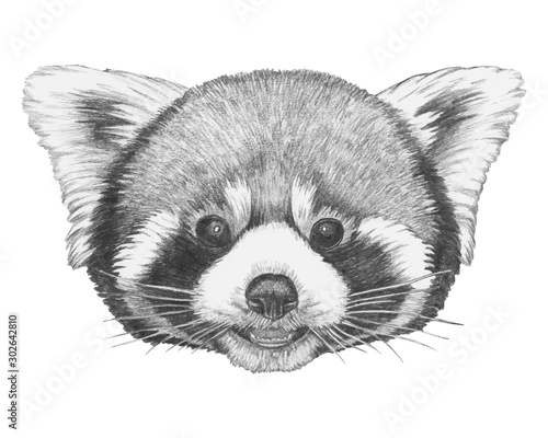 Portrait of Red Panda. Hand-drawn illustration. Vector isolated elements.	