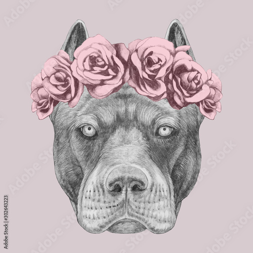 Portrait of Pit Bull with floral head wreath. Hand-drawn illustration. Vector isolated elements.	