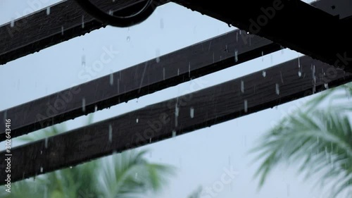 Heavy rain on wooden pergola in the backyard during monsoon season