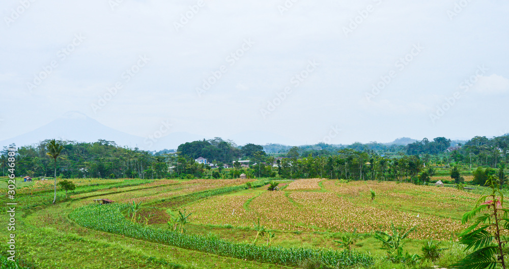 green fields on hills next to small settlement