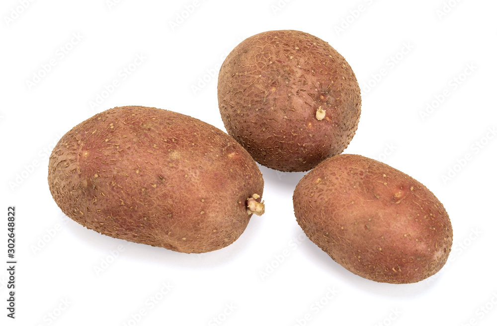 potato tubers with sprouts on a white background potato tubers with sprouts on a white background