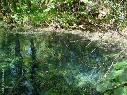 Panorama of a clear  transparent surface of a mountain lake  through which water you can see the bottom covered with plants and old trees.