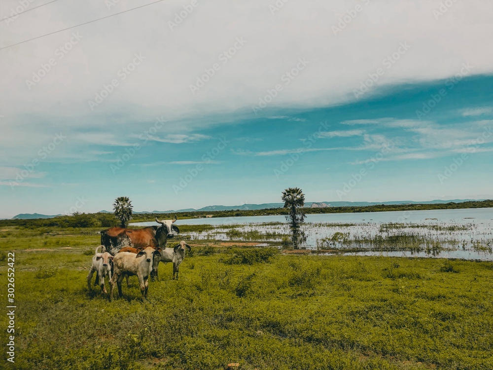 man on bike in field man on bike in field