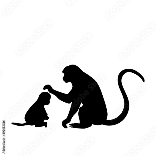 Silhouette of Monkey and young little Monkey