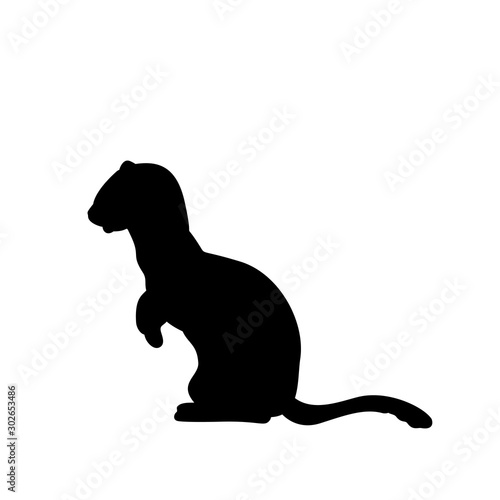 Weasel ferret silhouette. An animal of the marten family. photo