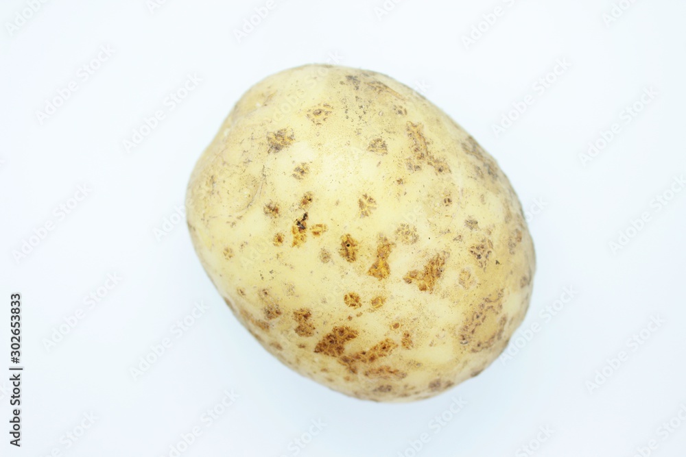 Potato tuber located on a white background Potato tuber located on a white background