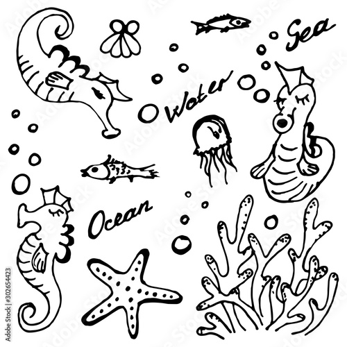 Set with cartoon seahorses, fish and corals. Vector illustration in the style of hand drawing and cartoon. Isolated on white background for design and web.