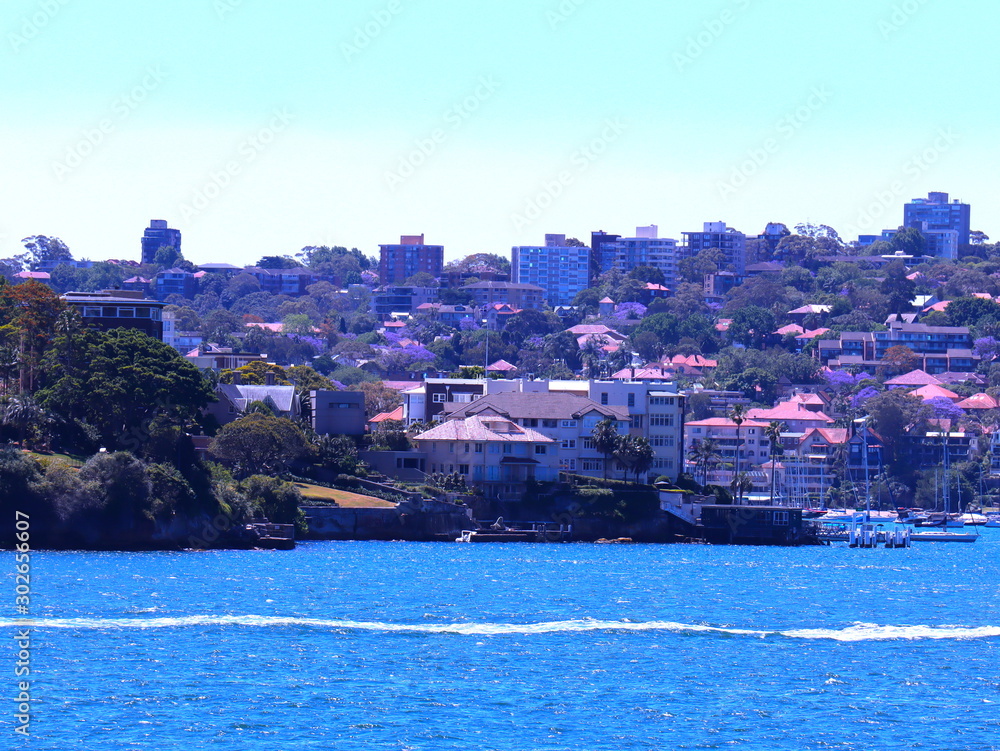 view of Sydney harbour 