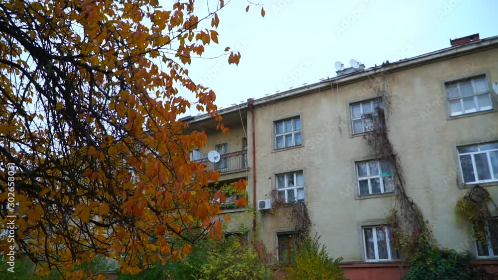 View of a tree with a building on a background. View of a tree with a building on a background.