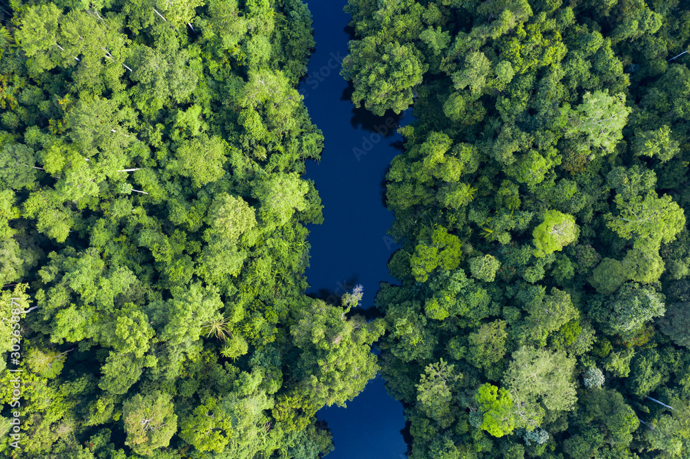 Naklejka premium View from above, stunning aerial view of a tropical rainforest with the Sungai Tembeling River flowing through. Taman Negara National Park, located in Malaysia is the world's oldest rainforest.