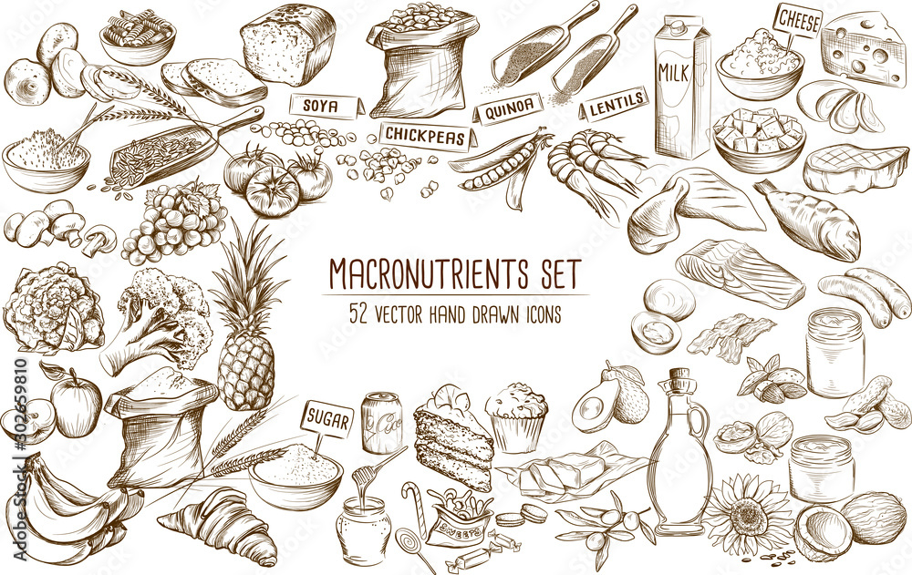 Macronutrient collection of 52 hand drawn individual vector illustrations