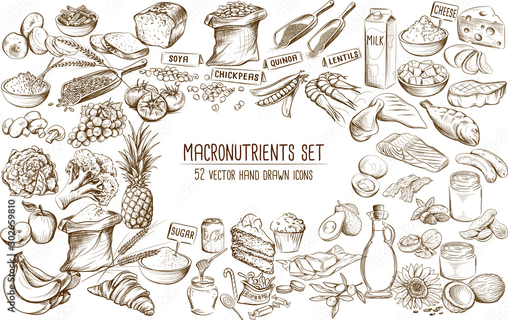 Macronutrient collection of 52 hand drawn individual vector illustrations Macronutrient collection of 52 hand drawn individual vector illustrations