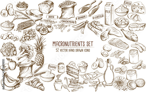 Macronutrient collection of 52 hand drawn individual vector illustrations