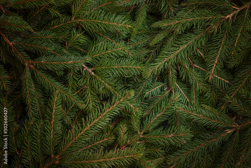 Christmas tree fir branches background. Low light scene. Top view, flat lay. Christmas tree fir branches background. Low light scene. Top view, flat lay.