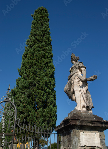 Montecatini Terme Italy Tuscany cipres tree at estate