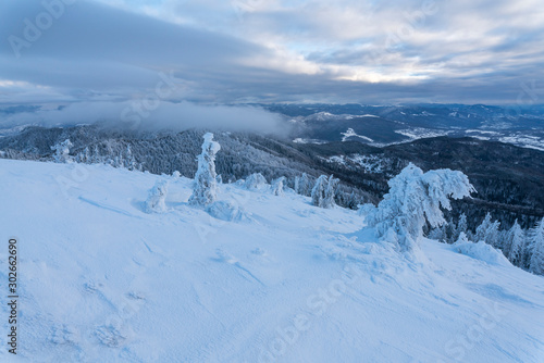 Wallpaper Mural Heavy winter in the Cozia Mountain, part of the Carpathian Mountains. Torontodigital.ca