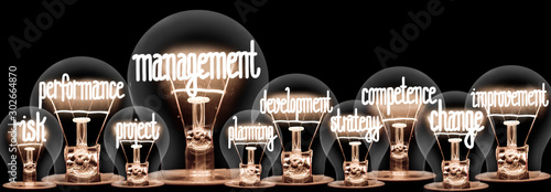 Light Bulbs with Management Concept