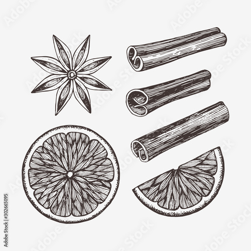Hand drawn winter food illustration. Vector drawings of orange slices, anise and cinnamon