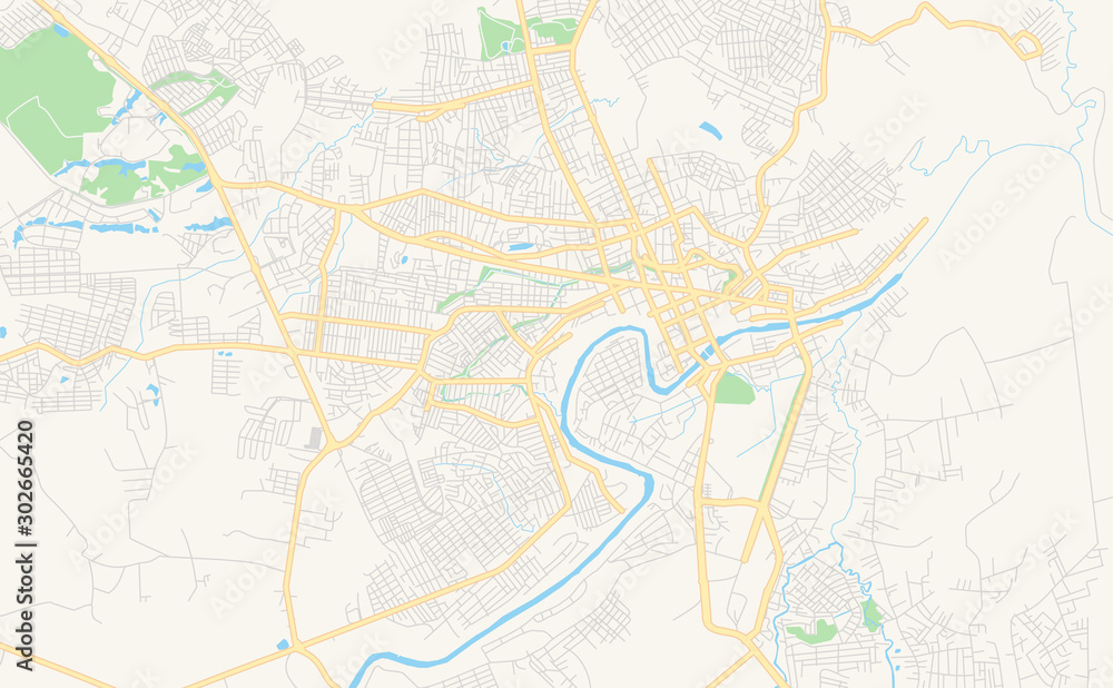 Printable street map of Rio Branco, Brazil