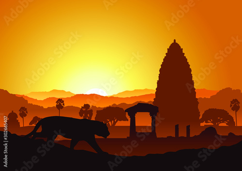 Orange background, asia india, nature panorama.	