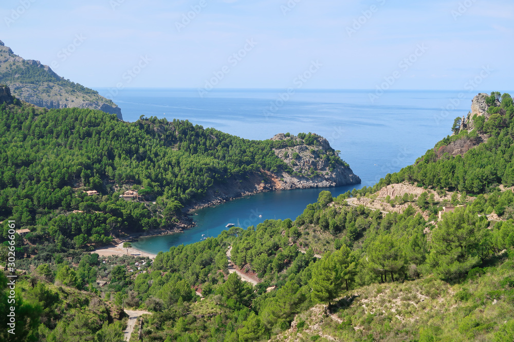 The sea among the pine forests