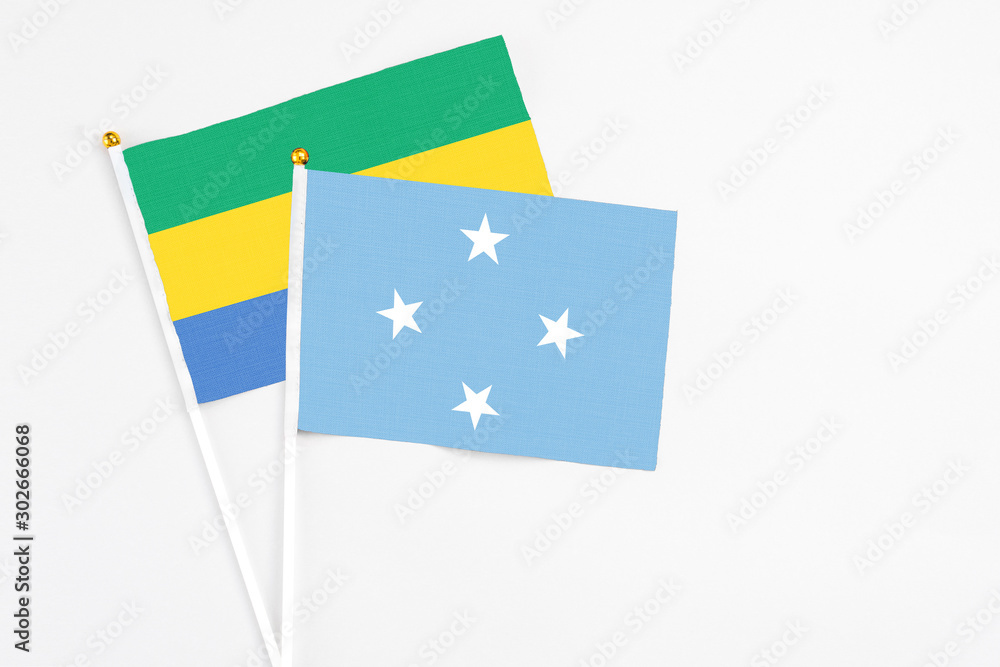 Micronesia and Gabon stick flags on white background. High quality fabric, miniature national flag. Peaceful global concept.White floor for copy space. Micronesia and Gabon stick flags on white background. High quality fabric, miniature national flag. Peaceful global concept.White floor for copy space.