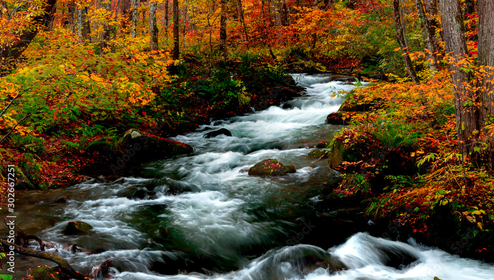 Oirase stream during autumn in Towada, Japan. Oirase stream during autumn in Towada, Japan.