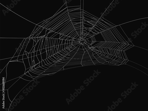 Cobweb vector decorative element. Spiderweb object on isolated background.