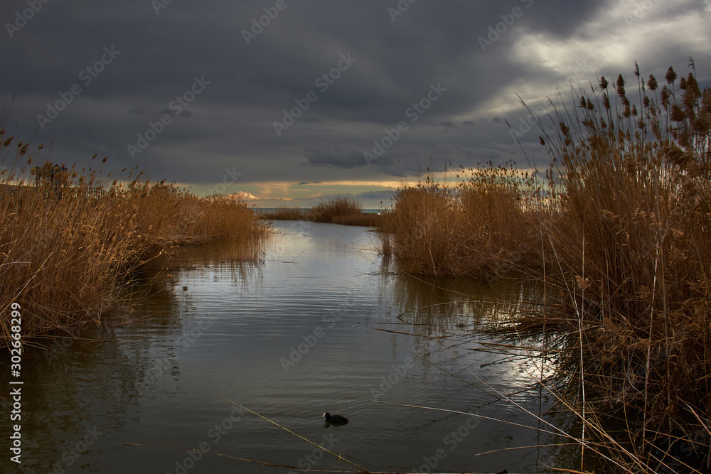 Autumnal river on a cloudy day Autumnal river on a cloudy day