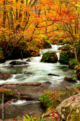 Dekoracja na wymiar  strumien-oirase-jesienia-w-towada-japonia