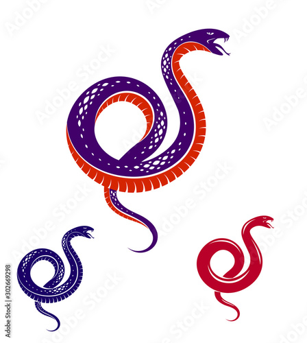Snake vector tattoo, deadly poison dangerous serpent, venom aggressive predator reptile animal vintage style illustration.