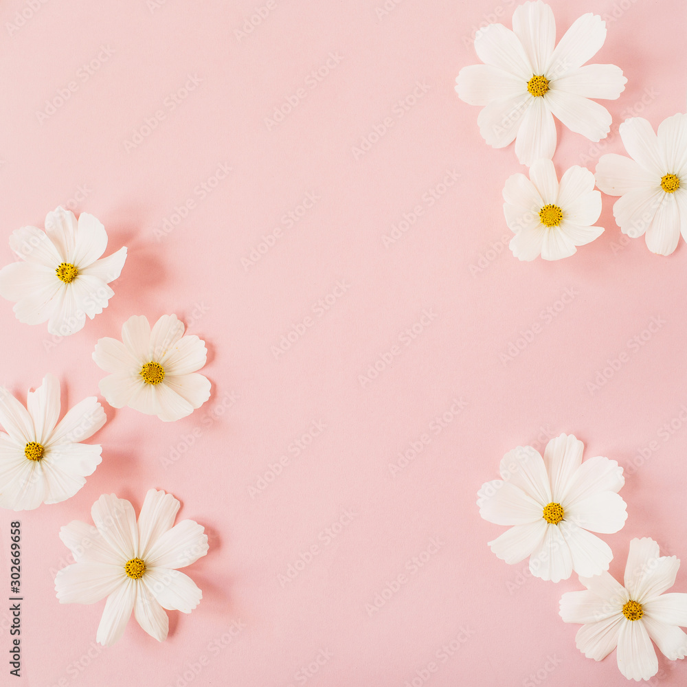 Fototapeta premium Minimal styled concept. White daisy chamomile flowers on pale pink background. Creative lifestyle, summer, spring concept. Copy space, flat lay, top view.