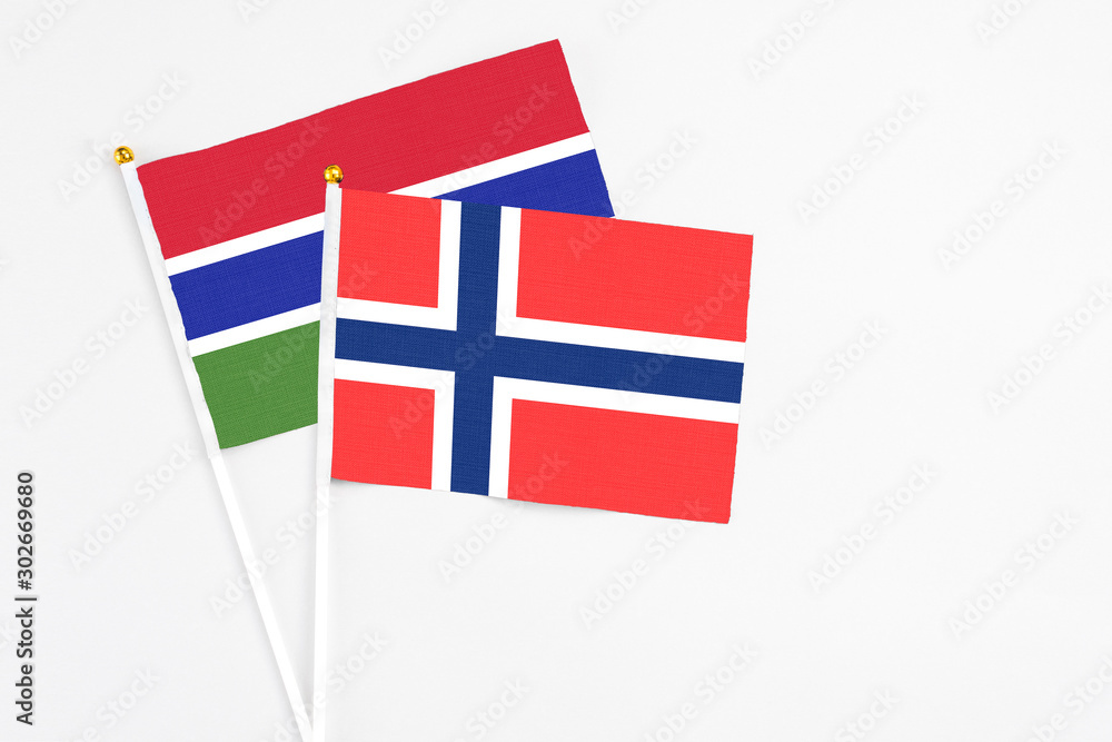Bouvet Islands and Georgia stick flags on white background. High quality fabric, miniature national flag. Peaceful global concept.White floor for copy space.