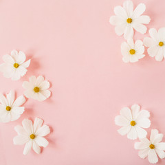 Minimal styled concept. White daisy chamomile flowers on pale pink background. Creative lifestyle, summer, spring concept. Copy space, flat lay, top view.