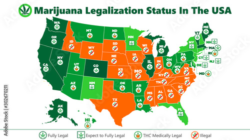 marijuana (ganja) legalization status in the USA map infographic style illustration photo