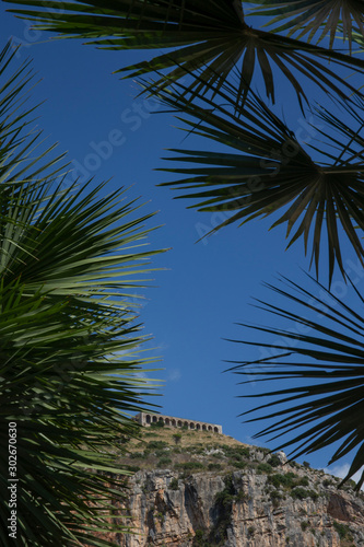 Terracina Italy. Palmtree