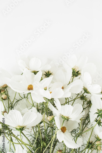 A beautiful pattern with white chamomile  daisies flowers. Floral texture or print. Holiday  wedding  birthday  anniversary concept. Copy space  flat lay  top view.