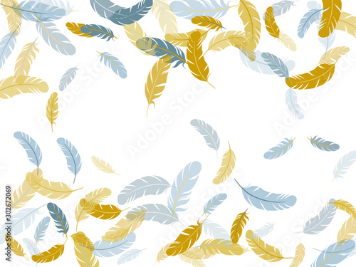 Falling feather elements soft vector design.