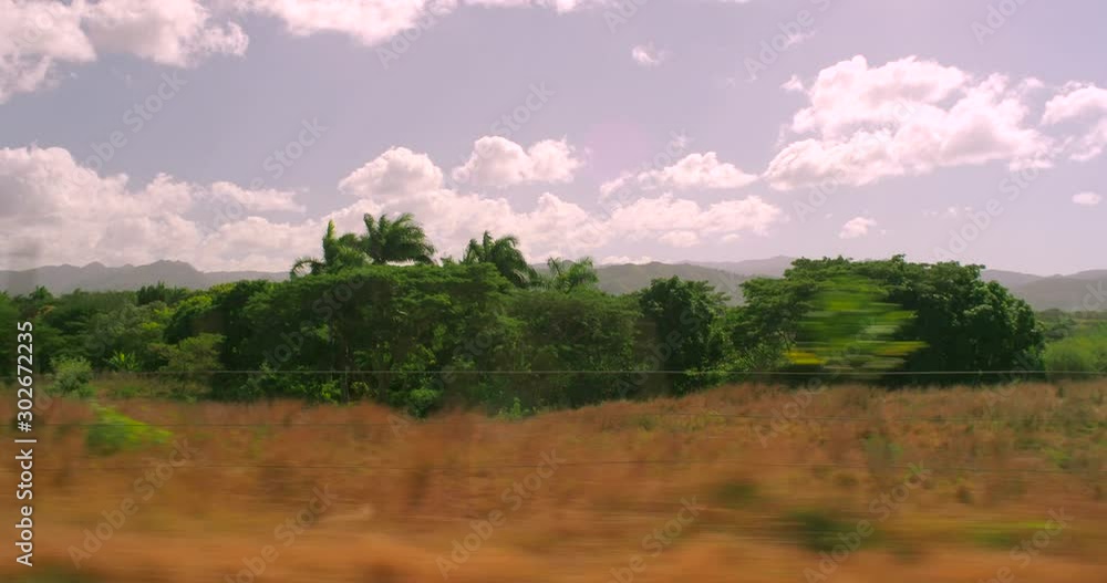 Cuban Landscape