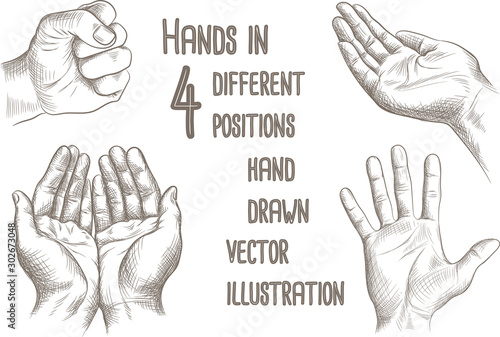 Hand drawn vector illustration of hands in different positions