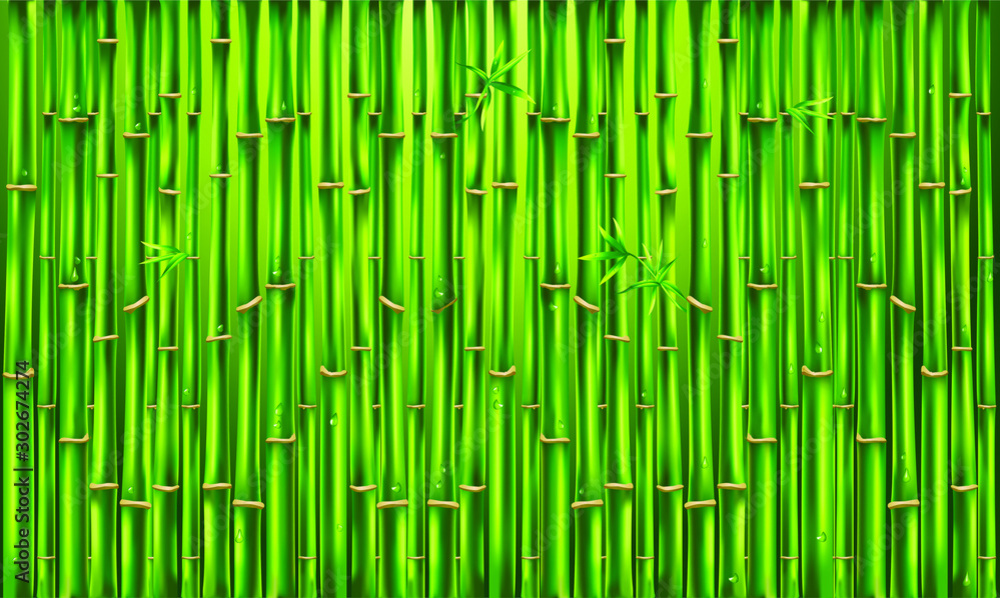 Green bamboo fence, vector texture background, bamboo panora