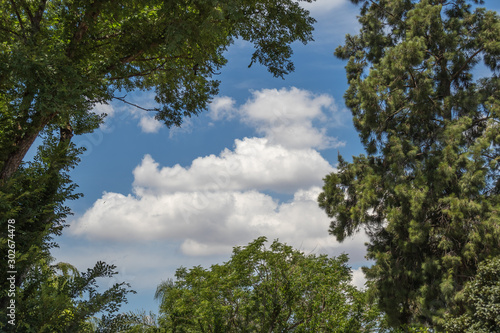 Green trees form a natural frame around a scene with blue sky and white clouds image for background use with copy space in horizontal format