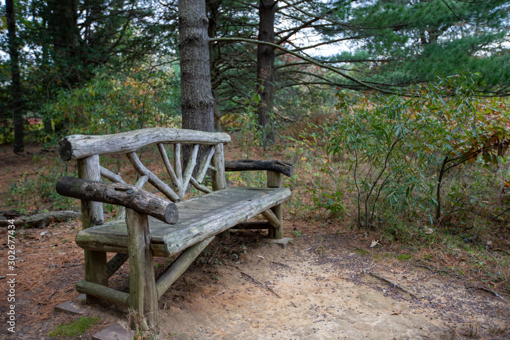 woodland bench autumn along trail us national arboretum washington dc usa woodland bench autumn along trail us national arboretum washington dc usa