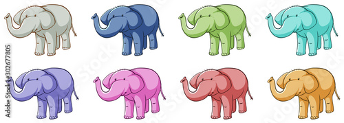 Isolated set of elephants in different colors