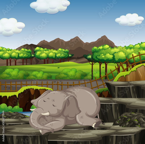 Scene with elephant at the zoo
