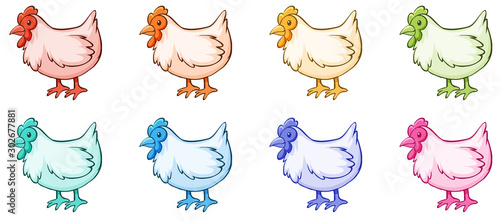 Isolated set of chicken in many colors
