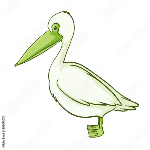 Green pelican on white background